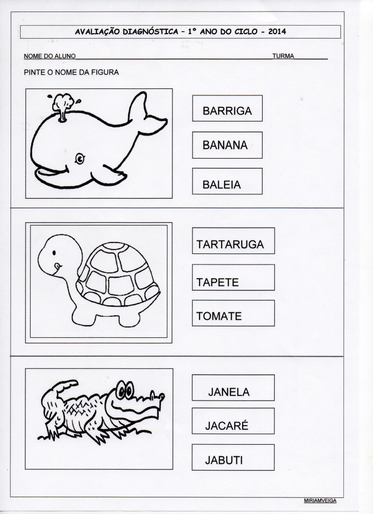 Avaliação diagnóstica - 1º anos - Pintar nomes