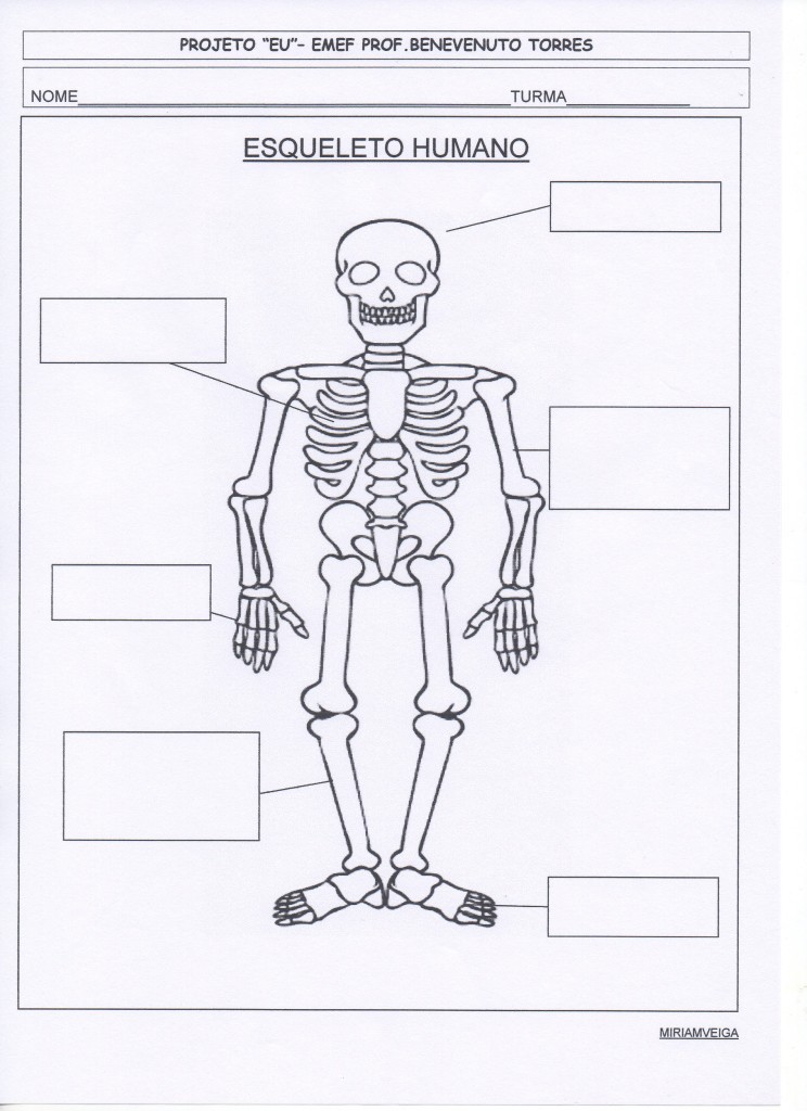 projeto eu - esqueleto