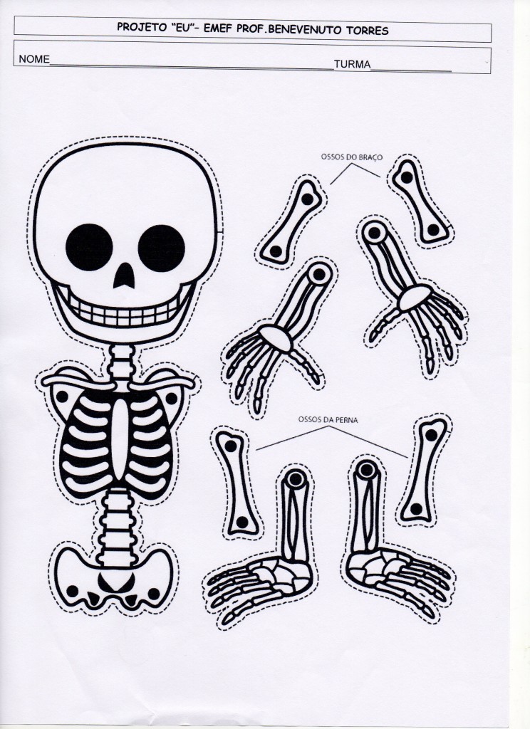 projeto eu - esqueleto para montar