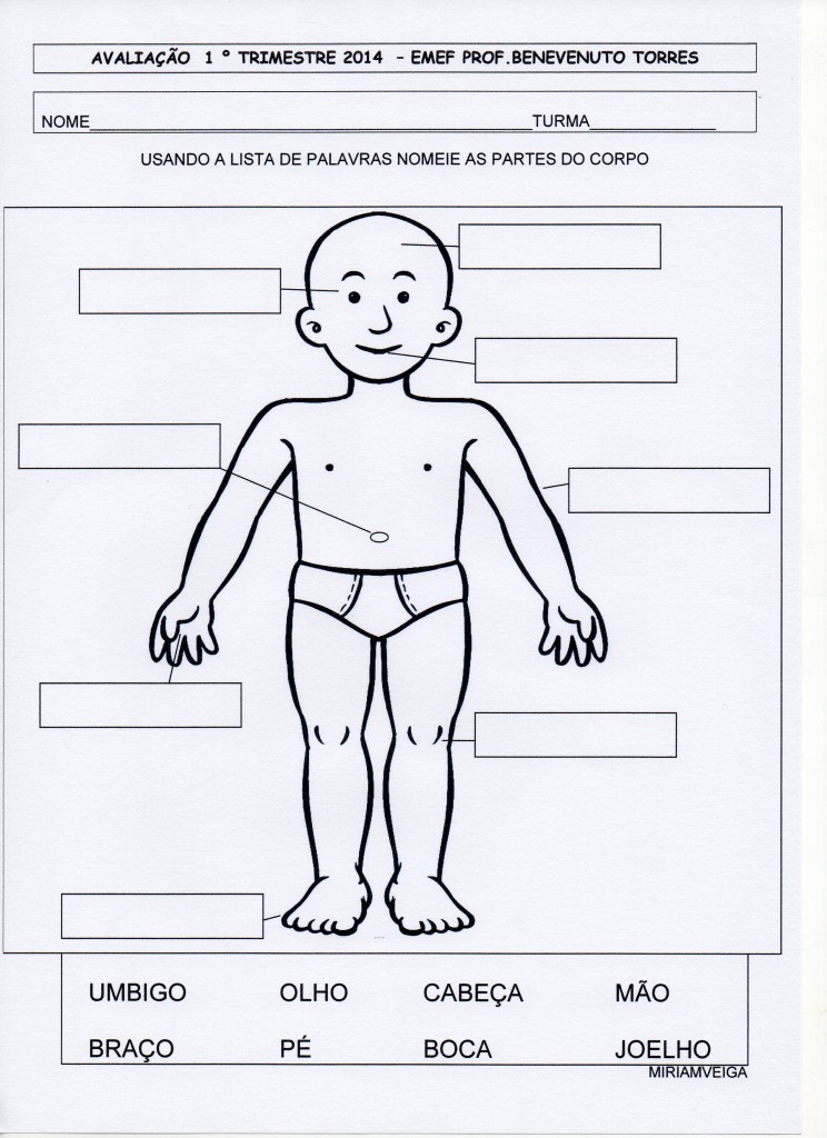 avaliaçao 1 tri 2014