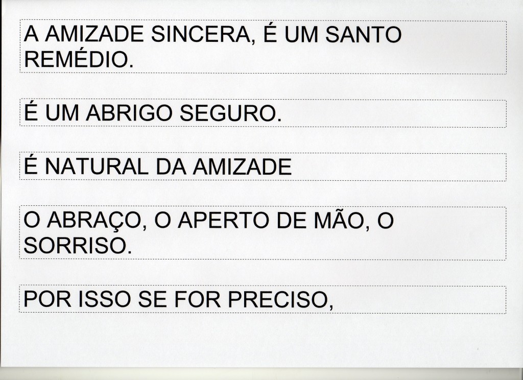 projeto amizade 9 fatias 1