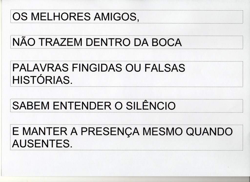 projeto amizade 9 fatias 3