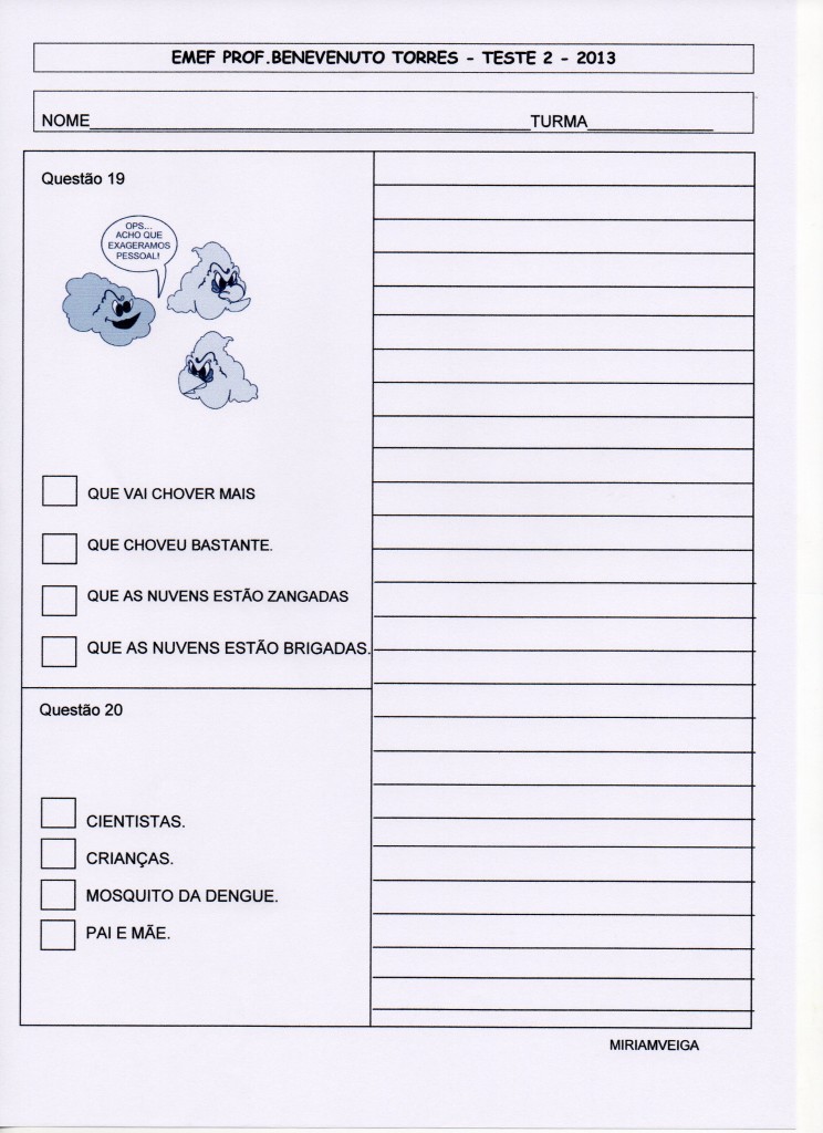 PROVINHA BRASIL PORT. TESTE 2 - 2013 PG 5