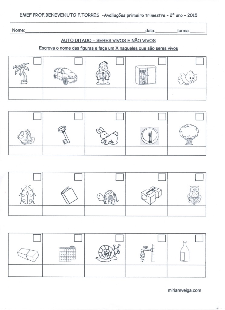 avaliações 1º trirmestre 2ºano 2015 folha 5