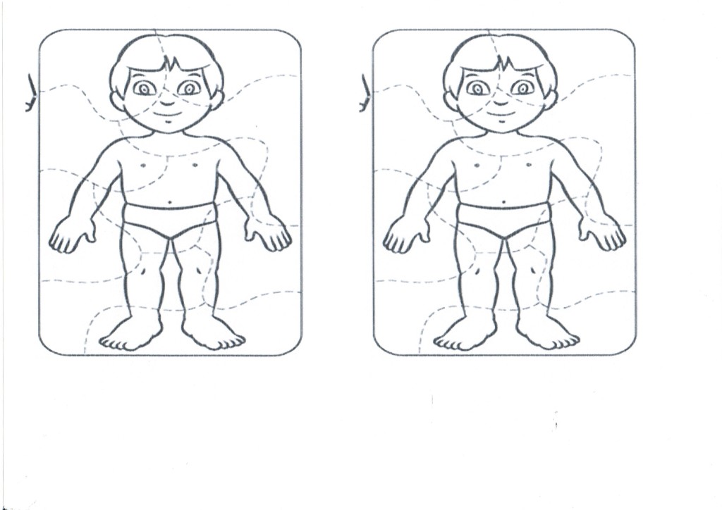 Avaliação-Ciências-Corpo-Humano-Quebra-cabeça-1