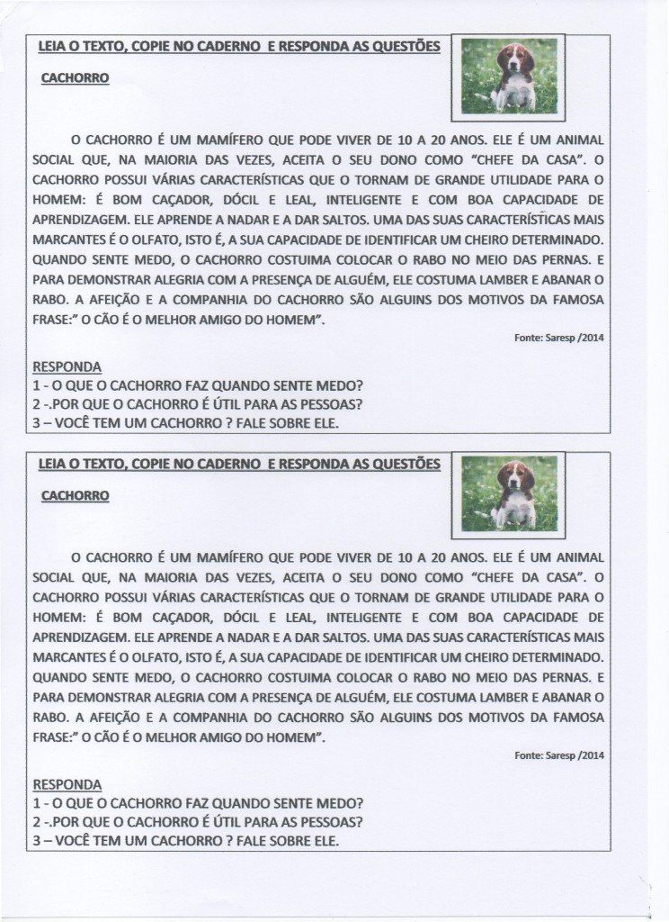 Atividade de interpretação de texto-Tema O Cachorro