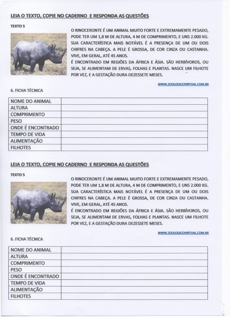 Interpretação de texto - Rinoceronte