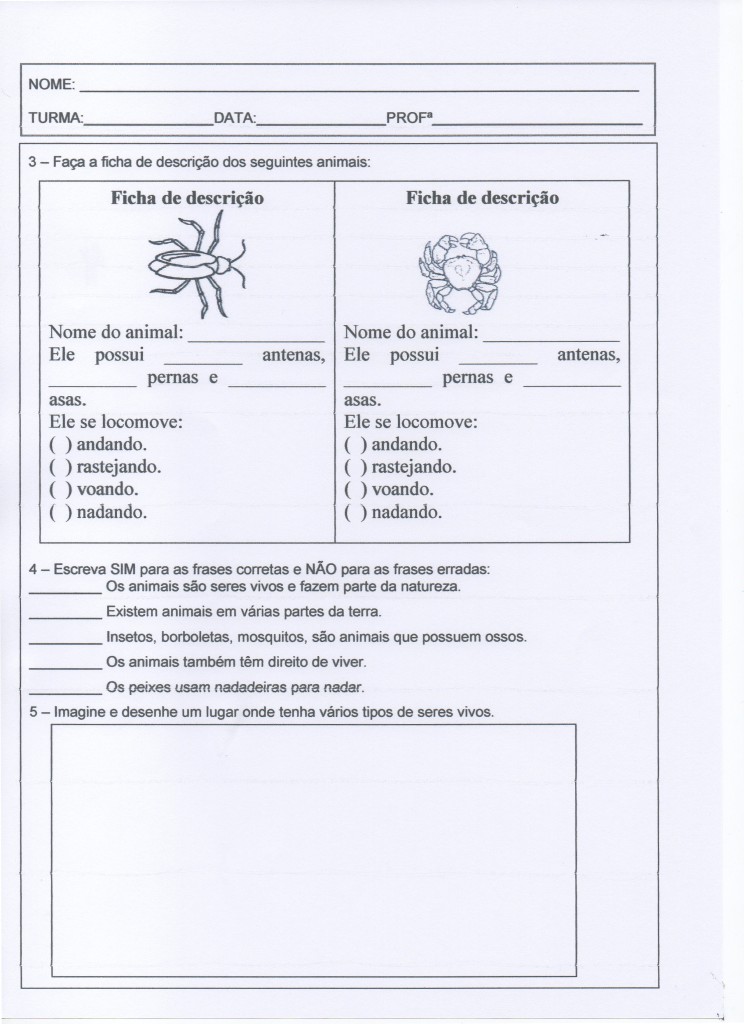 Atividade com Animais - Parte 2 de 3.