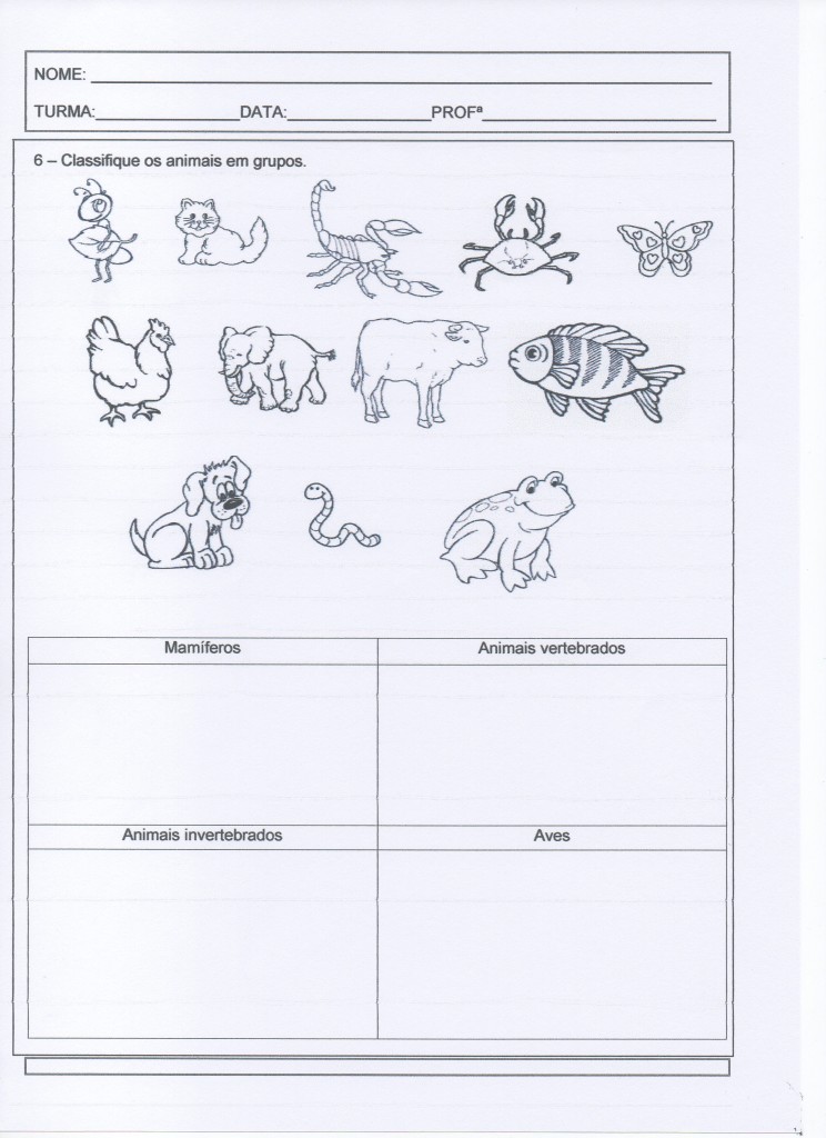 Atividade com Animais - Parte 3 de 3.