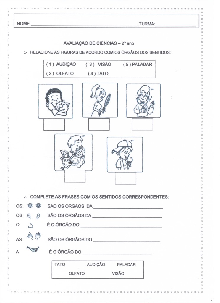 Avaliação de Ciências-Órgãos dos sentidos. 2º ANO - Folha 01