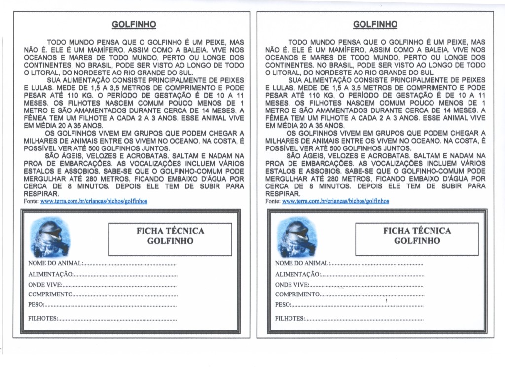 Interpretação de Ficha Técnica-EJA - Golfinho