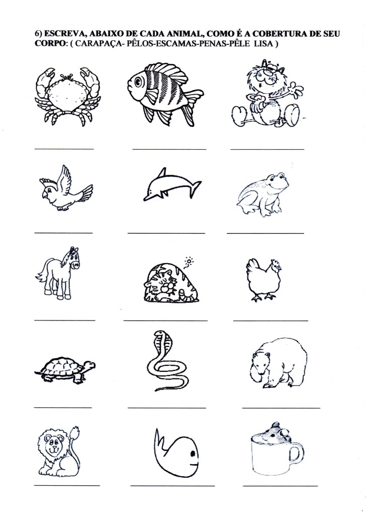 Atividade Animais-Cobertura do corpo - Parte 03.
