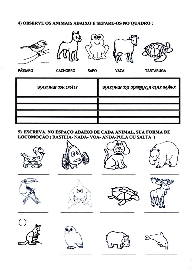 Atividade Animais-Locomoção - Parte 02.