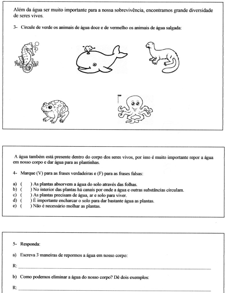 Avaliação de Ciências-2 Ano-Parte 2-Folha 1