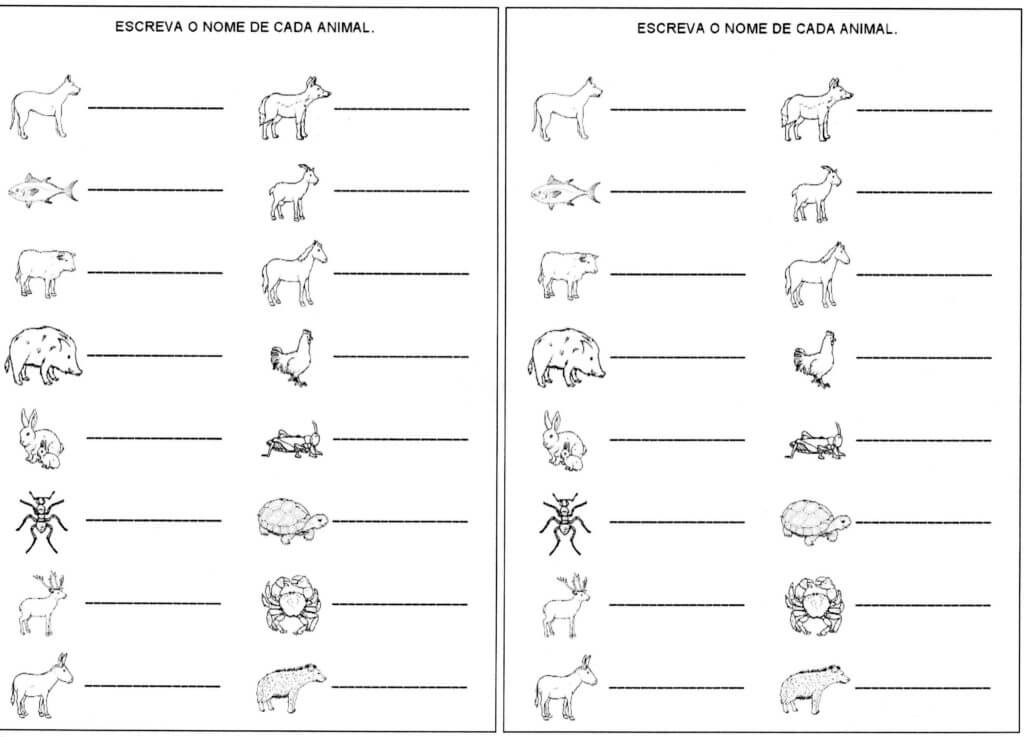 Escrita de palavras-Nomes dos animais