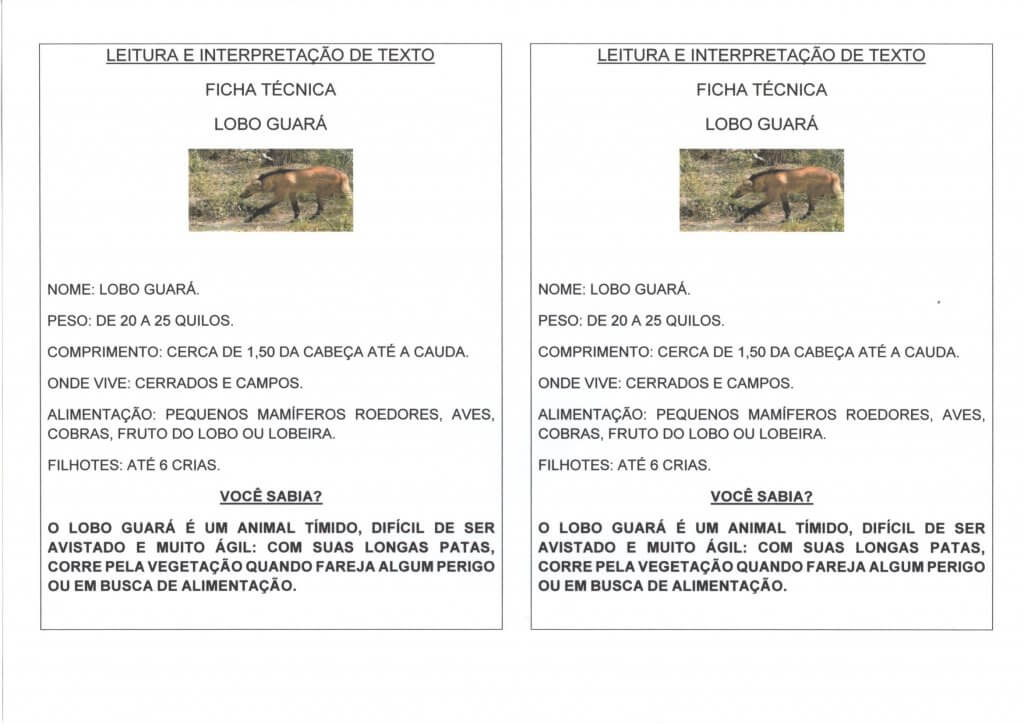Interpretação-Animais-Ficha Técnica-Lobo Guará-Folha 1
