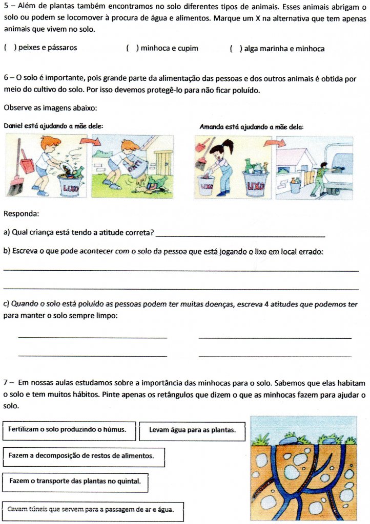 Avaliação Ciências 3 ano 2 trimestre-Parte 2-Folha 3