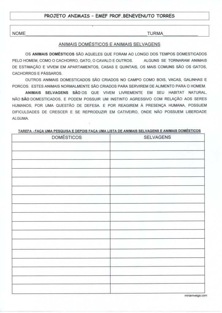 Animais Domésticos e Selvagens