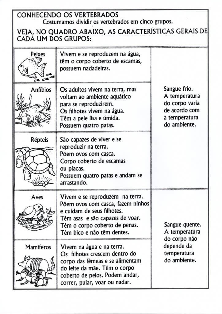 Atividade de Ciências-Vertebrados e Invertebrados-Folha 1