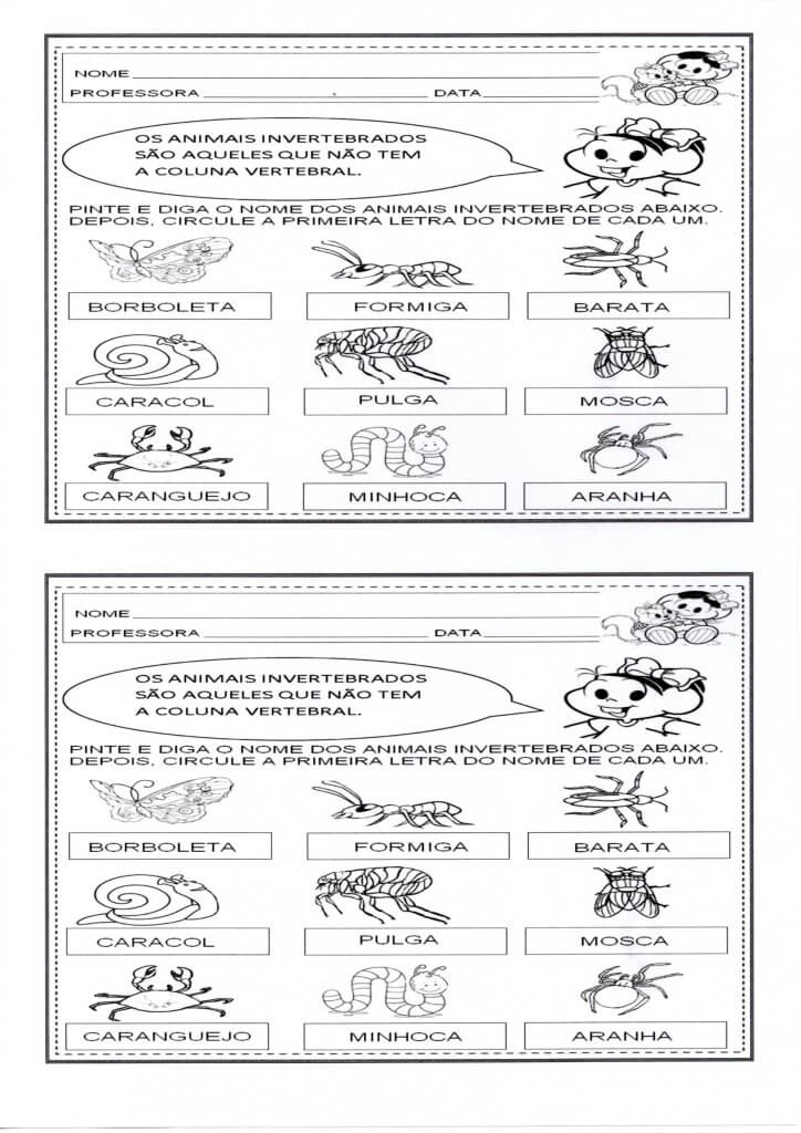 Vertebrados e Invertebrados-Definição e Grupos-Folha 1