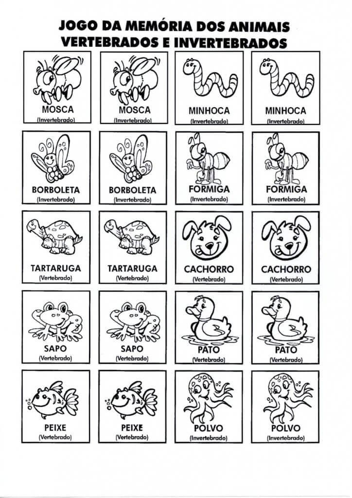 Jogo da memória-Invertebrados