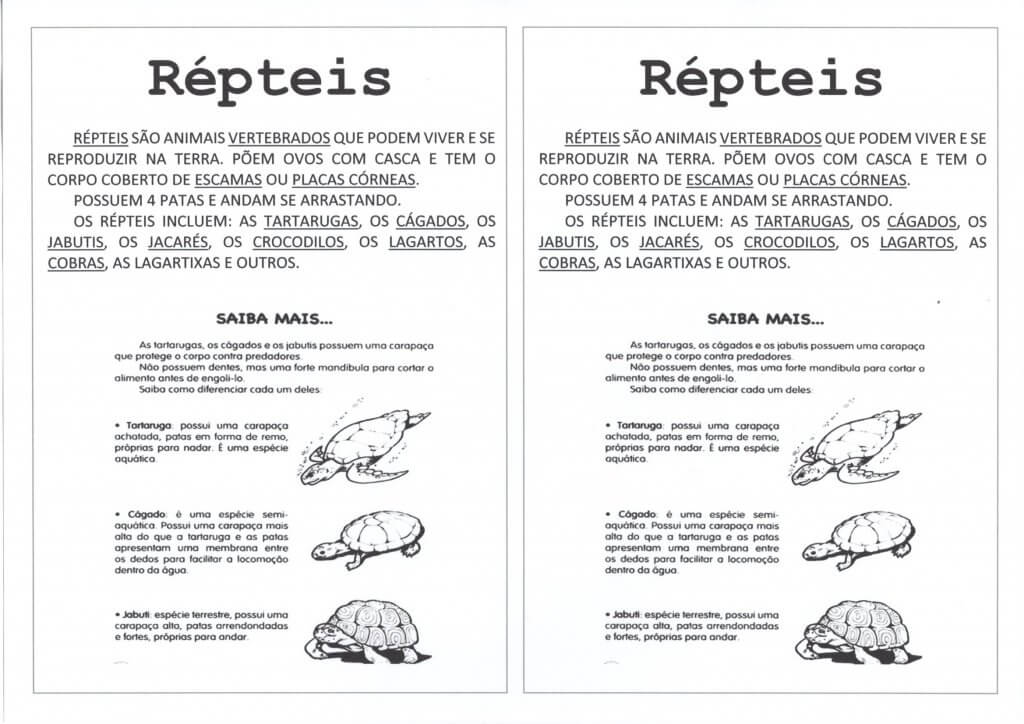 Dia dos Animais-Cruzadinhas e Texto-Répteis-Folha 1