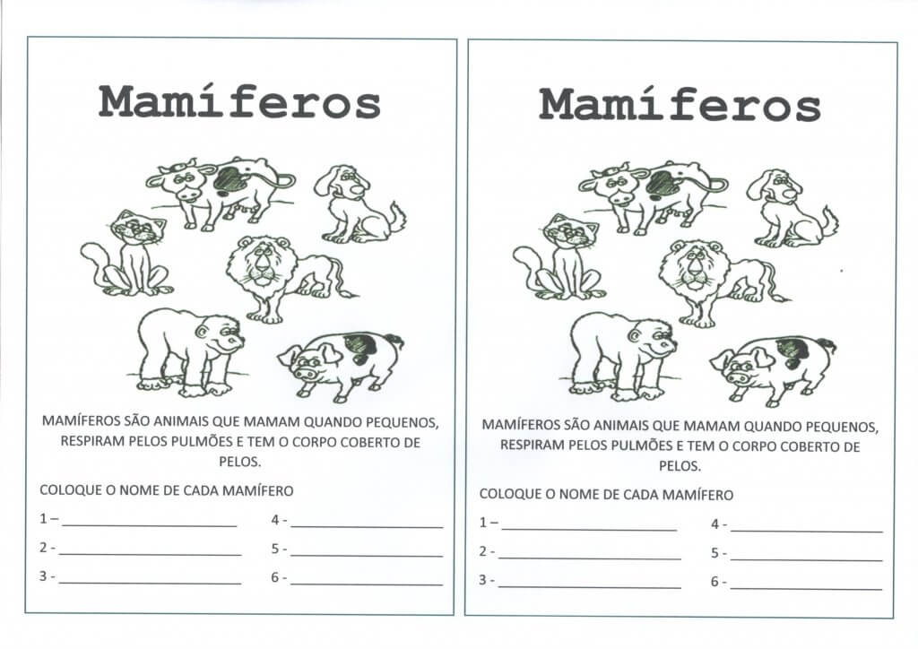 Dia dos Animais-Mamíferos com Cruzadinha-Folha 1