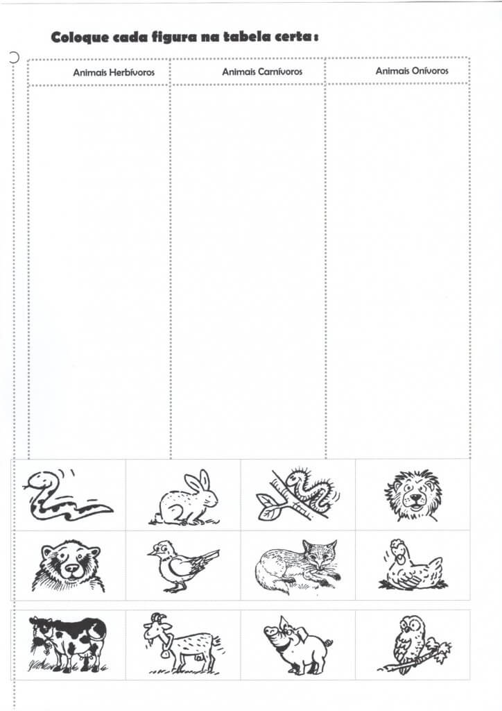 Dia dos Animais-Herbívoros Carnívoros e Onívoros