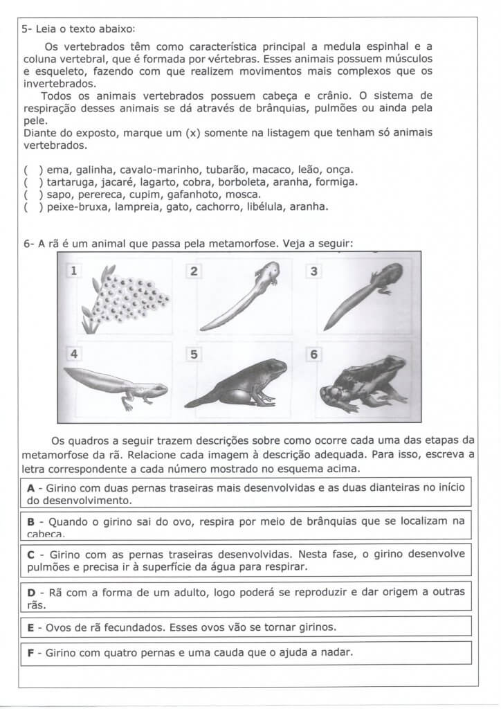 Avaliação de Ciências 4 Ano-Mamíferos Peixes Anfíbios-Folha 3