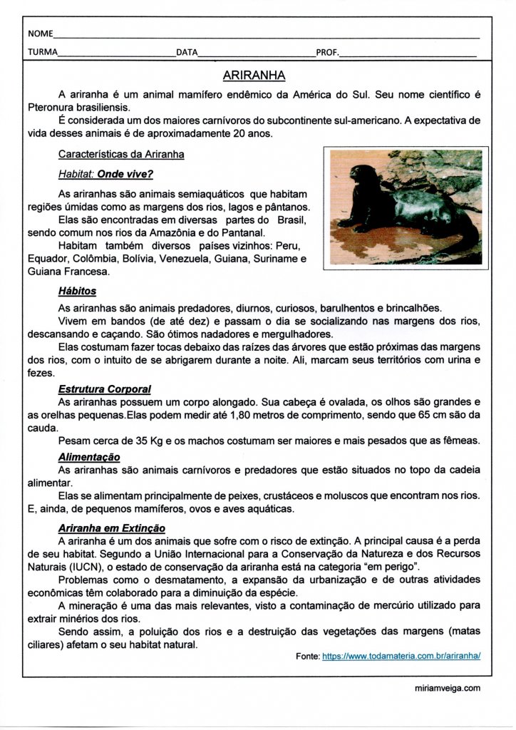 Interpretação de texto de Ciência-Ariranha