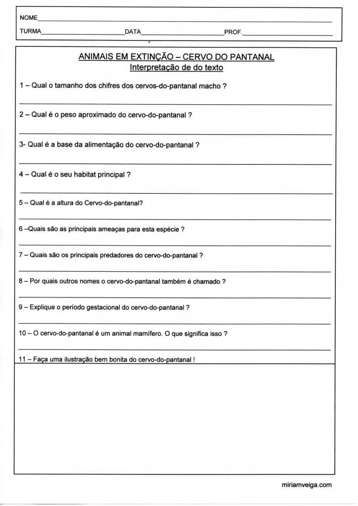 Animais em extinção-Cervo do Pantanal-Parte 2