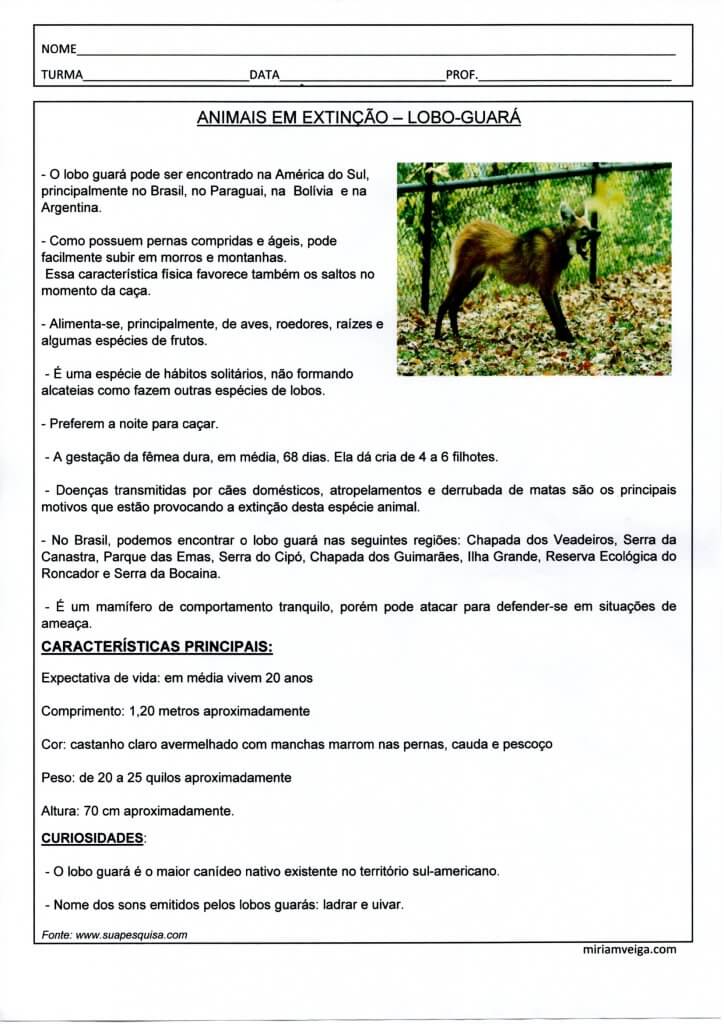 Atividade de Língua Portuguesa sobre animais para fazer a Ficha Técnica do Lobo Guará Ficha Técnica-Lobo Guará-Parte 1-Interpretação de Texto-Folha 1