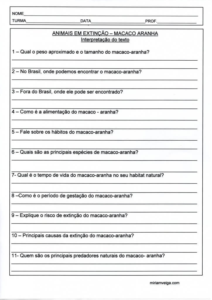 Animais em extinção Macaco-Aranha-Questões