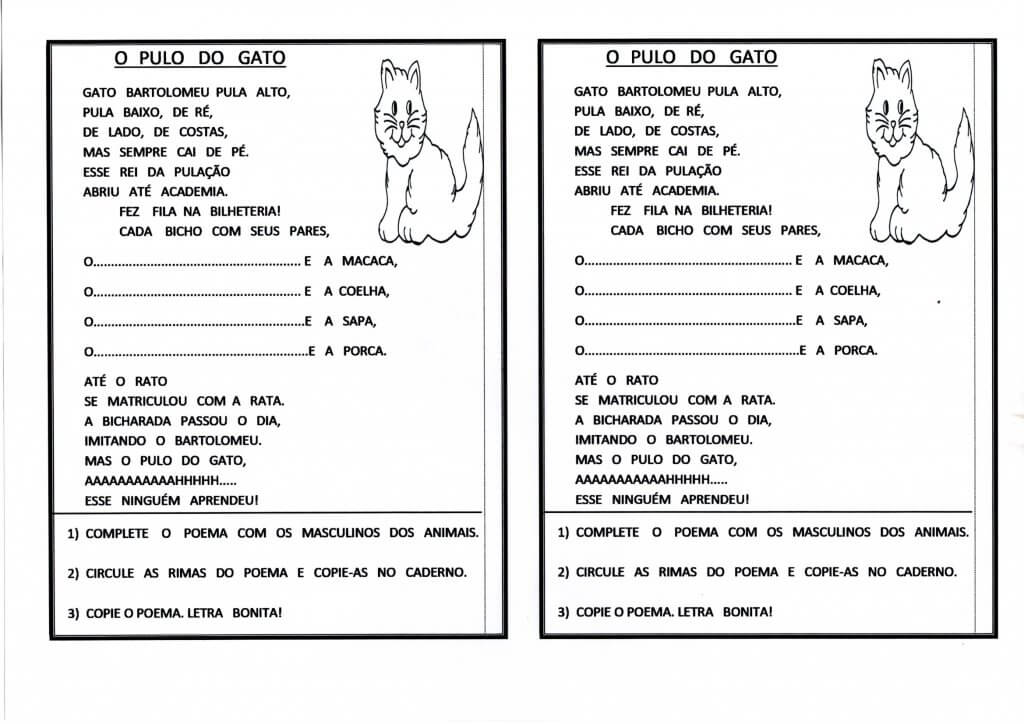 Festa Junina-Masculino e Feminino das palavras