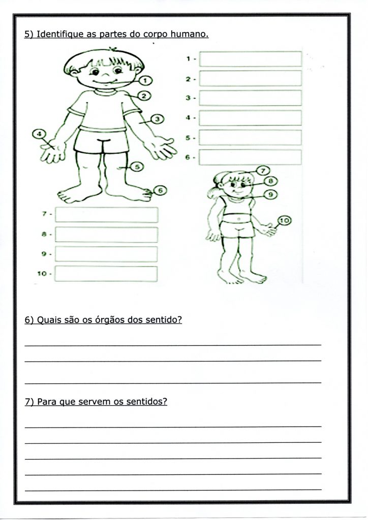 Avaliação de Ciências 2 Ano 2 Semestre-Parte 2-Folha 3