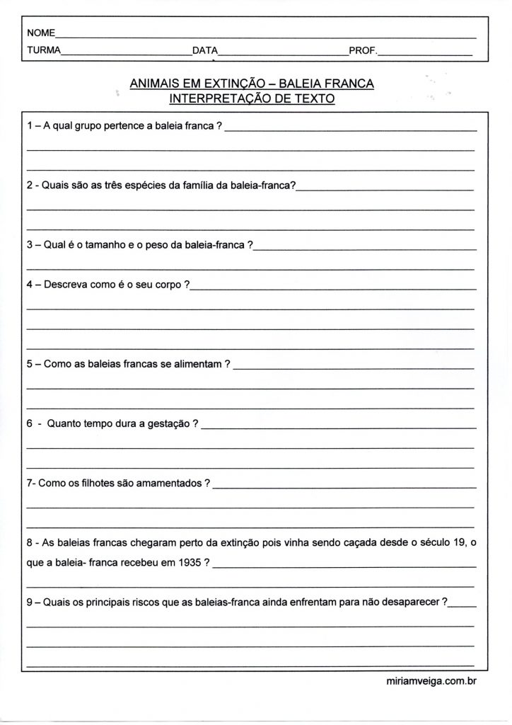 Animais em extinção-Baleia Franca-Interpretação