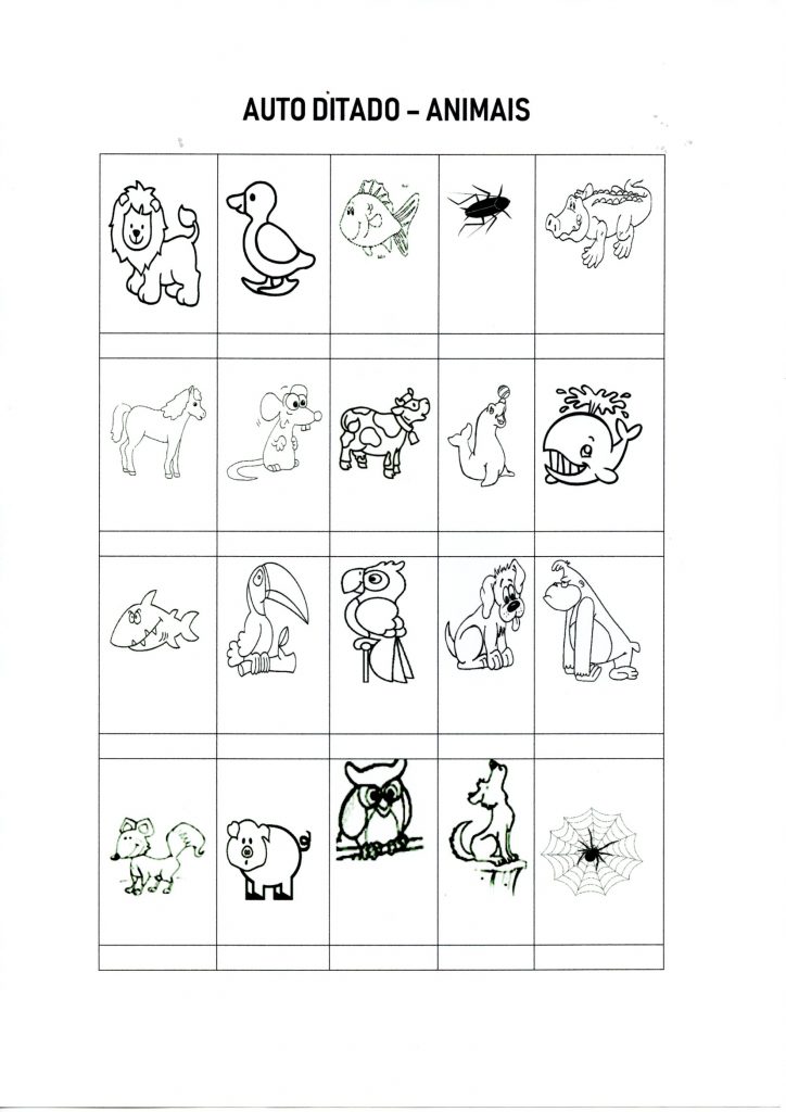 Auto-ditado-Escreva os nomes dos Animais