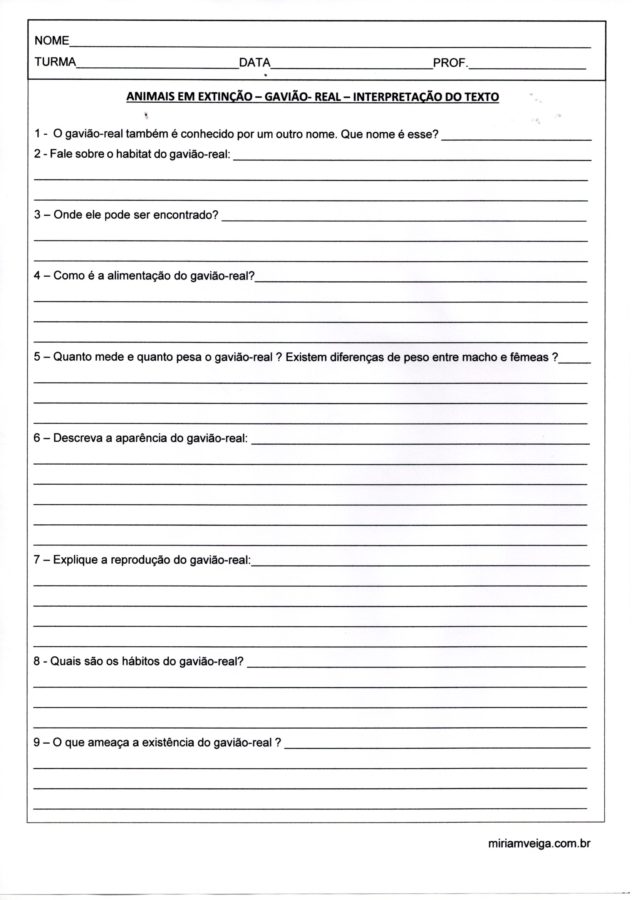 Animais em extinção-Gavião Real-Interpretação