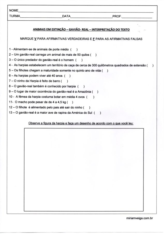 Animais em extinção-Gavião Real-Questões