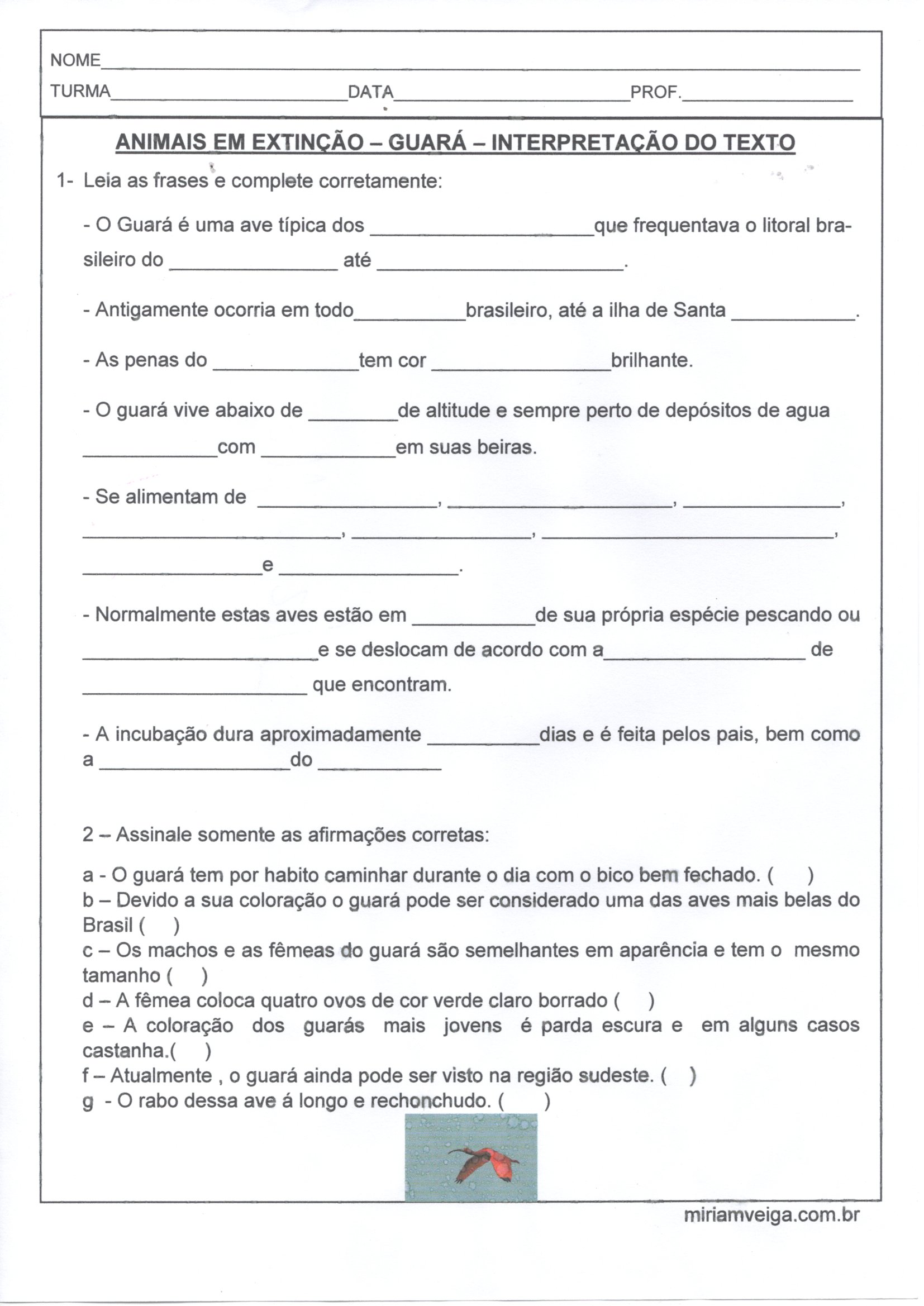 Animais em Extinção-Guará-Interpretação