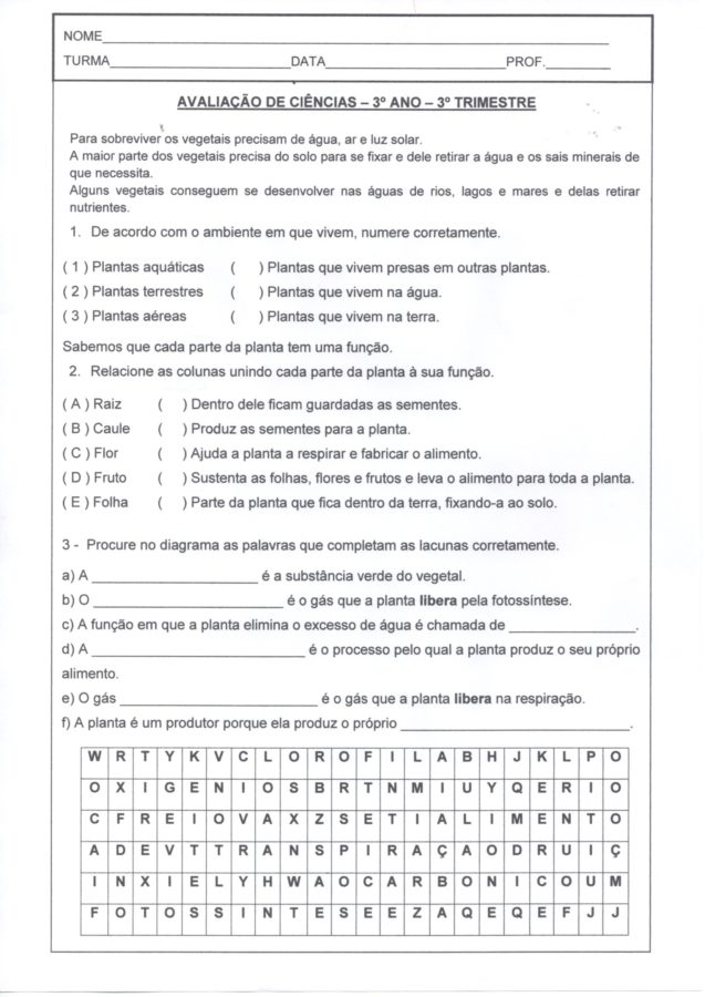 Avaliação de ciências-3 ano-3 trimestre-Parte 1-Folha 1