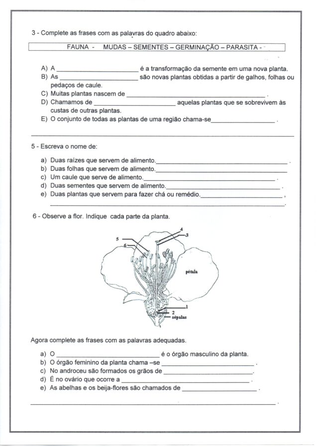 Avaliação de Ciências-Parte 2