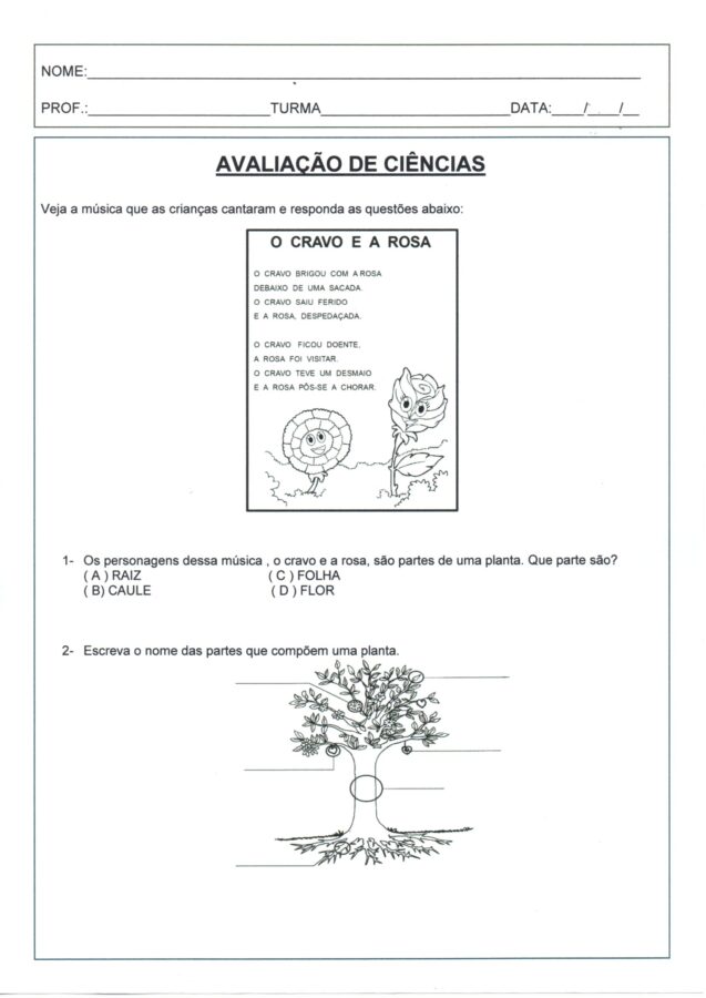 Avaliação de Ciências-Partes das plantas 1