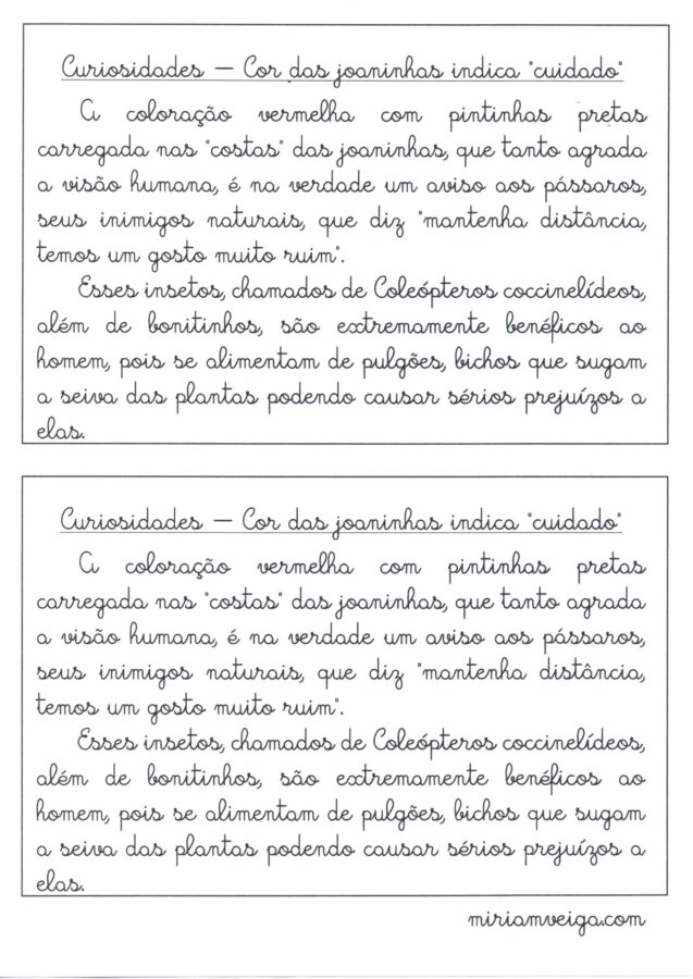 Texto para treino de letra cursiva-Cor das joaninhas