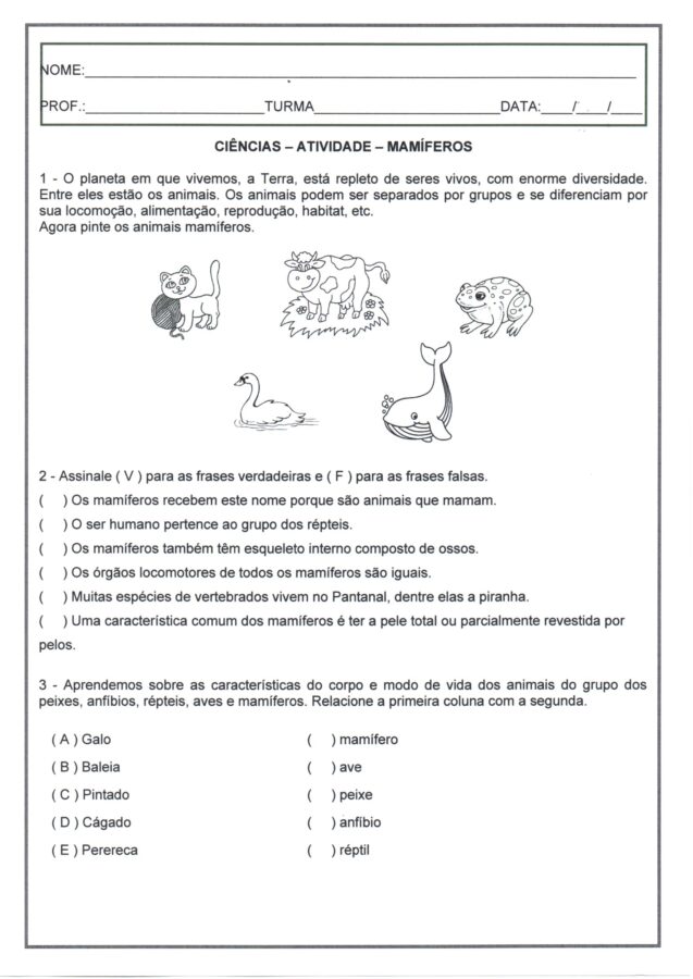 Ciências-Animais mamíferos-folha 1