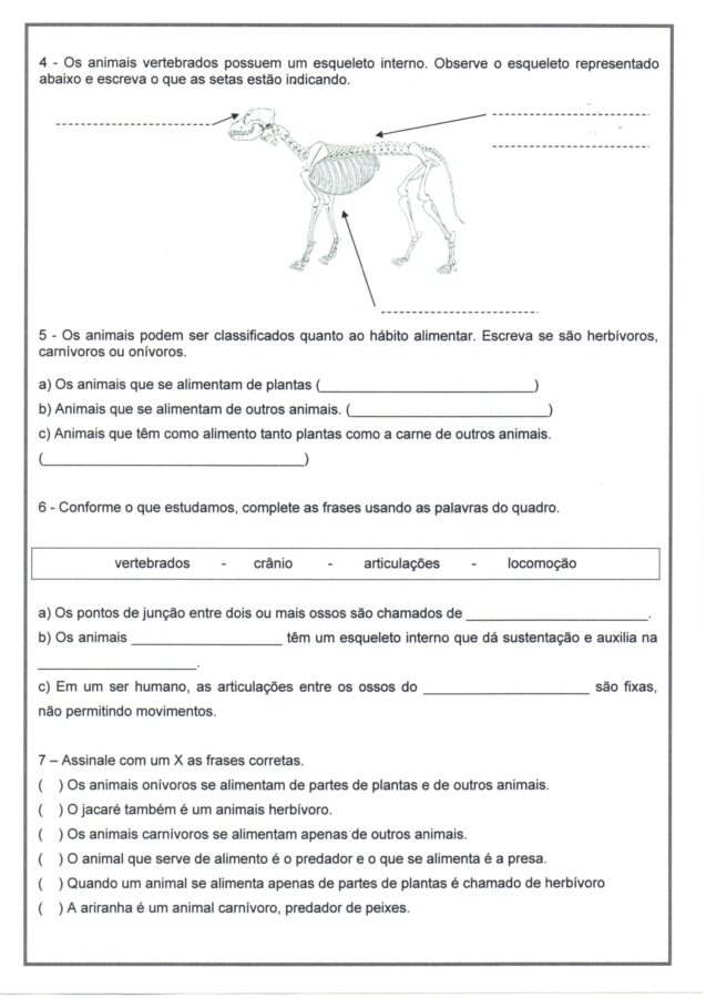 27,07 Ciências-Animais mamíferos-folha 2