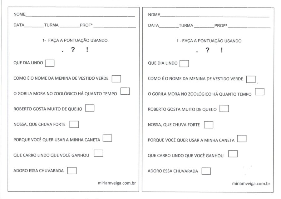 Faça a pontuação correta nas frases