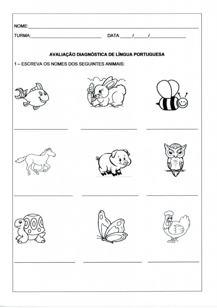 Avaliação Diagnóstica Língua Portuguesa-Animais-Folha 1