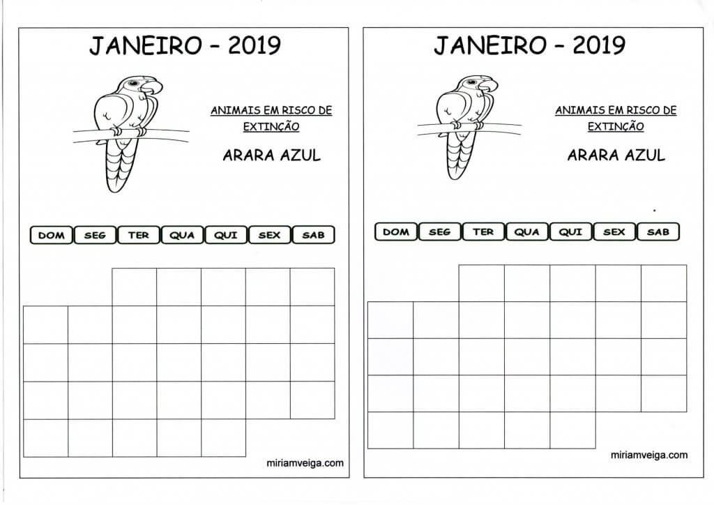 Calendário 2019 Janeiro-Aluno