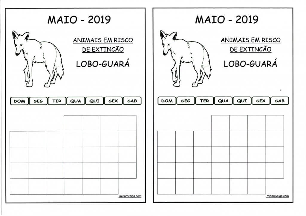 Calendário 2019 Maio-Aluno